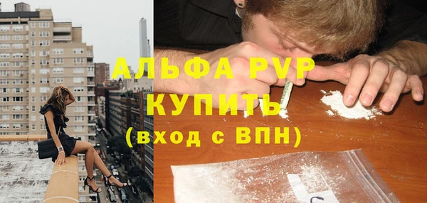 стафф Аркадак