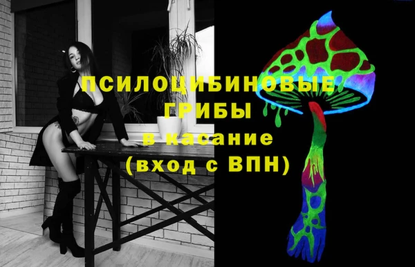 стафф Аркадак