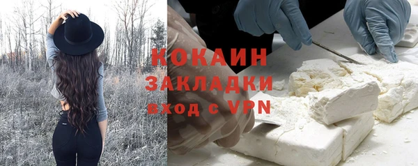 прущие грибы Баксан