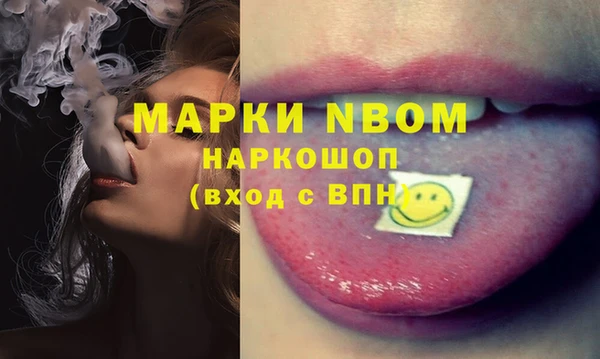 стафф Аркадак