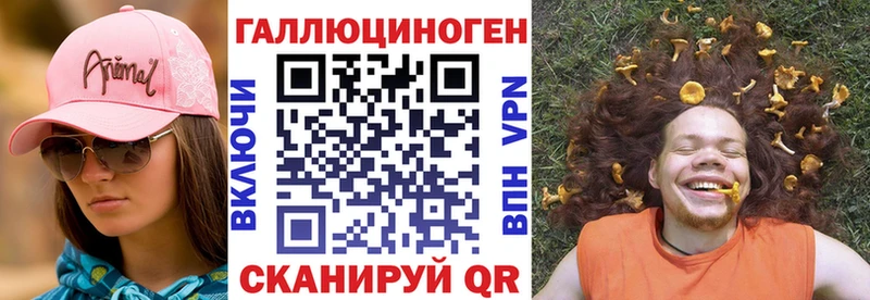 это клад Кубинка Галлюциногенные грибы Psilocybe